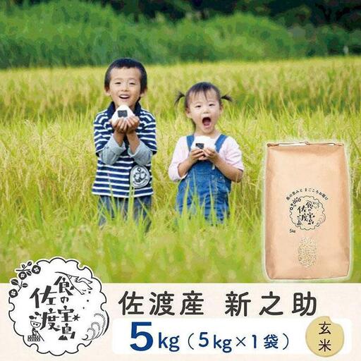 米 玄米 5kg 1袋 |新之助 新潟県 佐渡市 195962-1043