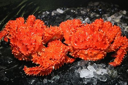 浜ゆで花咲がに活時700〜900g前後×3尾