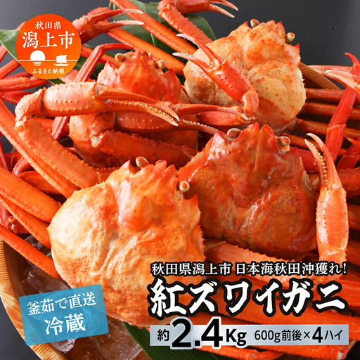 紅ズワイガニ 冷蔵 4匹 2.4kg【安田水産】