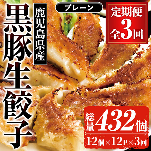 [3か月定期便]鹿児島 黒豚生餃子 144個×3回 餃子[00-008-19-TK]