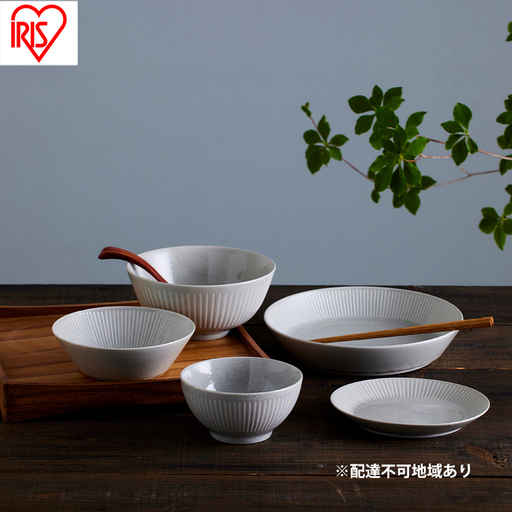 食器 5点セット MNW-5S グレー 電子レンジ 食洗器対応 磁器 新生活 アイリスオーヤマ 食器セット 