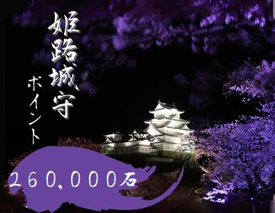 姫路城守ポイント 260000石 姫路 姫路城守ポイント