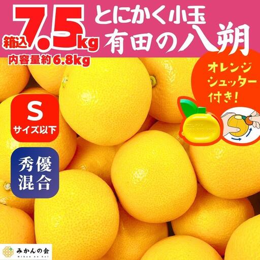 八朔 (はっさく) とにかく 小玉 箱込 7.5kg(内容量約 6.8kg) 秀品 優品 混合 Sサイズ以下 和歌山県産  産地直送［みかんの会］