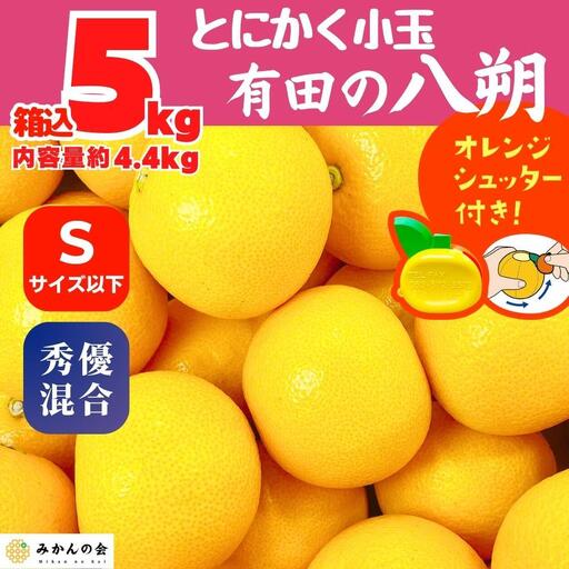 八朔 (はっさく) とにかく 小玉 箱込 5kg(内容量約 4.4kg) 秀品 優品 混合 Sサイズ以下 和歌山県産  産地直送［みかんの会］