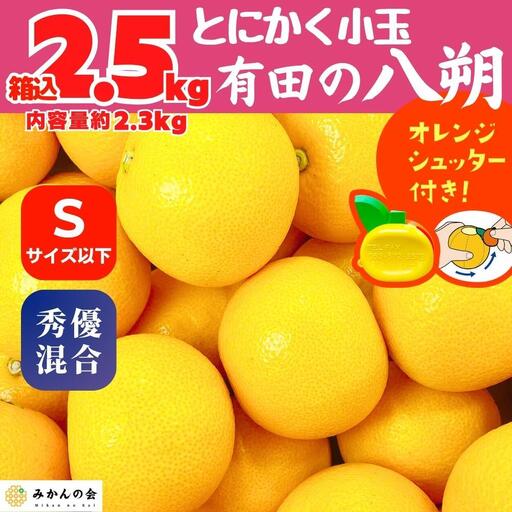 八朔 (はっさく) とにかく 小玉 箱込 2.5kg(内容量約 2.3kg) 秀品 優品 混合 Sサイズ以下 和歌山県産  産地直送［みかんの会］