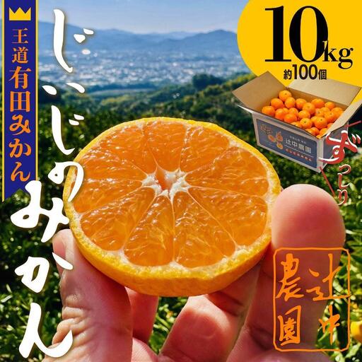 和歌山県有田みかん じぃじのみかん 約10kg
