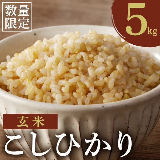≪都農町産≫新米コシヒカリ(玄米)5kg 米 お米 ご飯 国産_T031-0035
