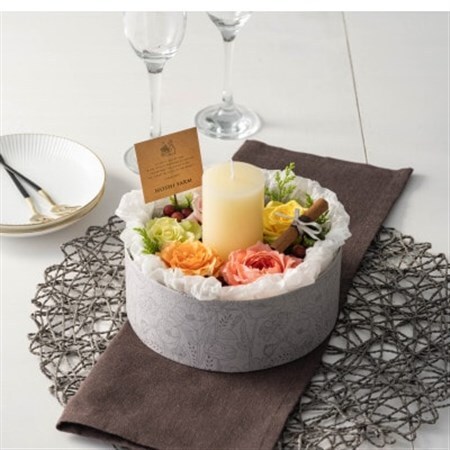 ホシファーム　『薔薇のケーキでお祝いギフト』カラフル_花・観葉植物  花 _【配送不可地域：離島・北海道・沖縄県】【1465209】