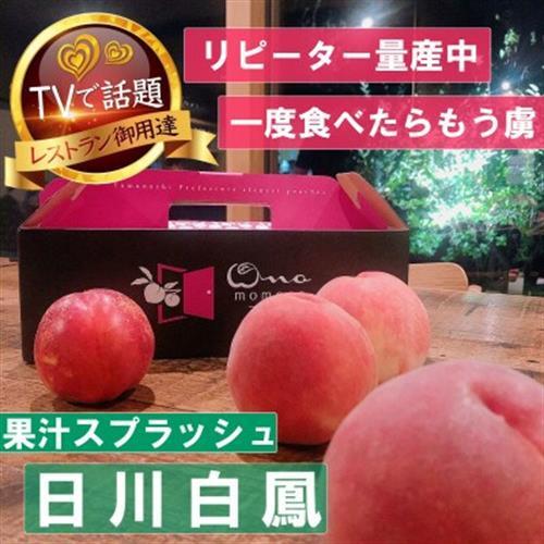 2027年発送先行受付【果汁スプラッシュ日川白鳳】人気品種指定ギフト5年連続TV出演話題ブランド桃【配送不可地域：離島・北海道・沖縄県・中国・四国・九州】【1465184】