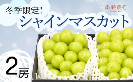 ＜2026年発送分先行予約＞冬に食べる　シャインマスカット2房（約1～1.2kg）ALPAJ010