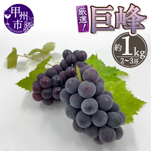 厳選！山梨県甲州市産 巨峰 約1kg（2～3房）【2026年発送】（THR）B-804 巨峰 フルーツ