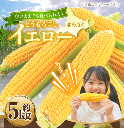 とうもろこし イエロー 約5kg [2026年8月上旬〜2026年8月下旬発送予定] 野菜 トウモロコシ コーン スイートコーン もろこし 甘い 北海道 浦臼町