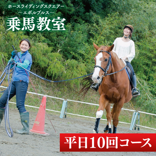 28-03 乗馬チケット 平日 10回 コース ホースライディングスクエア エボルブルス【乗馬 チケット 回数券 茨城県 阿見町】