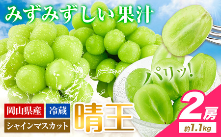 シャインマスカット晴王約1.1kg 