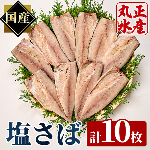 特大塩さば(10枚) 焼き魚  国産 冷凍 【AW-35】【丸正水産】