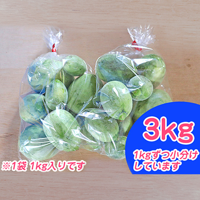 北海道 富良野市 摘果メロン 3kg ≪1kg×3袋≫ お漬物用 2026年 春夏発送 (中山農園)