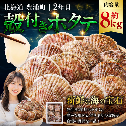 【先行予約】北海道 豊浦町 殻付きホタテ貝  2年貝  約8kg ほたて 帆立 シーフード 海鮮 BBQ 【2027年1月下旬～3月下旬発送予定】
