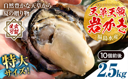岩牡蠣 2.5kg かき 福島水産 牡蠣 生食