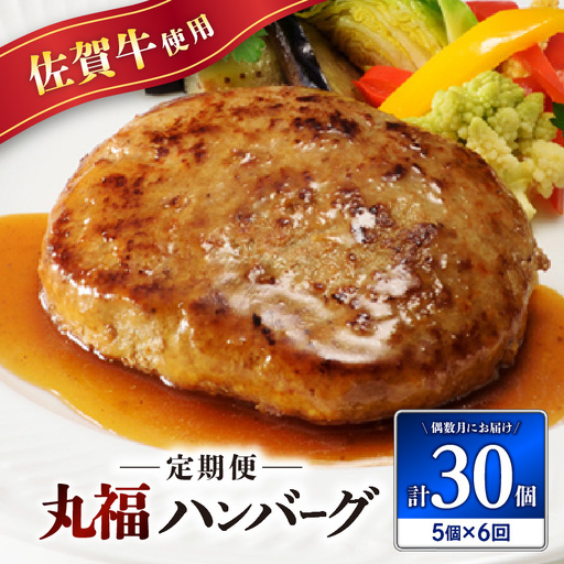 佐賀牛 丸福ハンバーグ5個 定期便（6回）【偶数月】／ ハンバーグ【Z087】