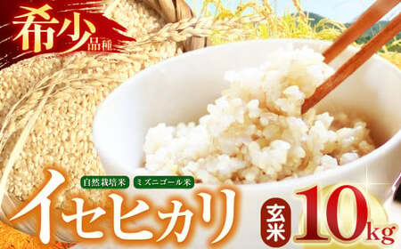自然栽培 イセヒカリ 10kg 玄米 | 農薬 肥料不使用 天日干し