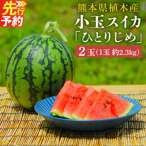 ＜ R8年熊本地震復興支援 ＞【上村農園】 小玉すいか 約2.3kg2玉 ひとりじめ 【2027年4月上旬～4月下旬迄順次発送予定】 春スイカ 植木 スイカ 西瓜