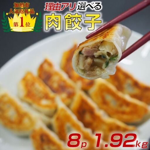 訳あり 冷凍肉餃子:8パック 中華 餃子