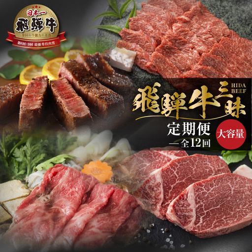 大容量 《まるごと定期便》12回 飛騨牛三昧 大容量 [S600]