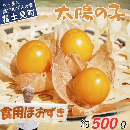 【2026年9月上旬から順次発送】フルーツほおずき 太陽の子 500g | ほおずき バディアス農園