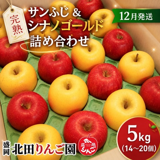 [12月発送]完熟サンふじ&シナノゴールド詰め合わせ 約5kg(14〜20玉) 北田りんご園 kitada005