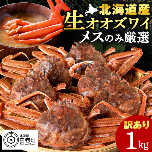 北海道産 生オオズワイガニ メス 1kg （加熱用） 〈斉藤水産〉 AM158
