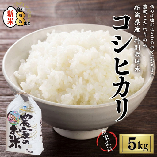 新米 米 【令和8年産新米】新潟県産「コシヒカリ」5kg  こしひかり  特別栽培米 甘みが口の中で広がる コシヒカリ 農家直送 大山農場 糸魚川産 美味しい 農家自慢 甘い お米 白米 おにぎり お弁当 糸魚川産 コシヒカリ 