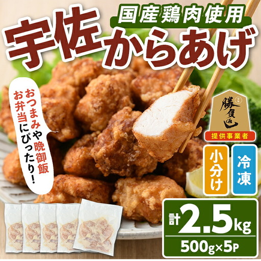 サクッとジューシー宇佐から揚げセット(計2.5kg・500g×5P)唐揚げ から揚げ 簡単 冷凍 惣菜 お弁当 おかず おつまみ 揚げるだけ セット 勝負めし【102000700】【サンセイ　安心院ソーセージ】