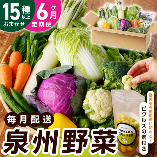 旬の新鮮 野菜セット（15種以上）定期便 全6回 おまかせ ピクルスの素付き ファミリー向け いずみピクルス NSW【毎月配送コース】