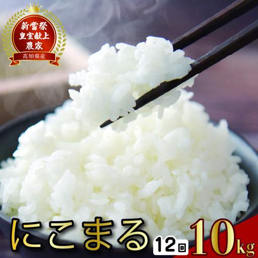 【令和7年産】 米 定期便 10kg×12回 にこまる 米 AS002