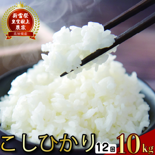 【令和7年産】 米 定期便 10kg×12回 こしひかり 米 AS001