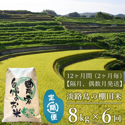 【定期便】淡路島の棚田米 ８kg×６回（隔月、偶数月中旬発送）白米