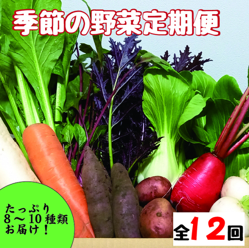 【野菜の定期便】こばやし季節の野菜詰め合わせセット　全12回（ 野菜セット 季節野菜セット 新鮮野菜セット 旬野菜セット 定期便野菜セット ）