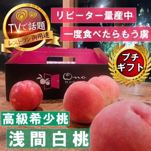 2027年発送先行受付[市場にほぼ出回らない浅間白桃]人気品種指定ギフト5年連続TV出演話題ブランド[配送不可地域:離島・北海道・沖縄県・中国・四国・九州]