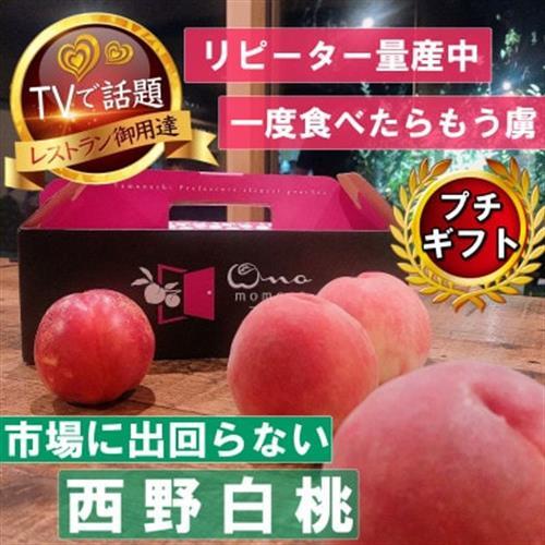 2027年発送先行受付【市場に出回らないレアな西野白桃】人気品種指定ギフト5年連続TV出演ブランド【配送不可地域：離島・北海道・沖縄県・中国・四国・九州】【1465267】