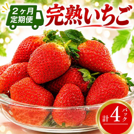 【 定期便2回 】 いちご 2パック 完熟 先行予約 大粒 イチゴ 苺