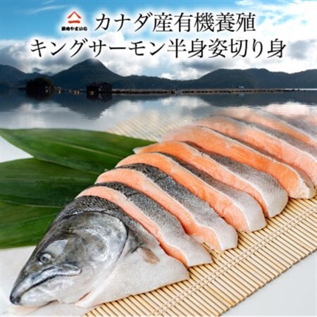 カナダ産キングサーモン半身姿切身 甘塩 1.6kg_魚介・海産物 鮭・サーモン 鮮魚 さけ サケ さーもん_【配送不可地域：離島】【1461697】