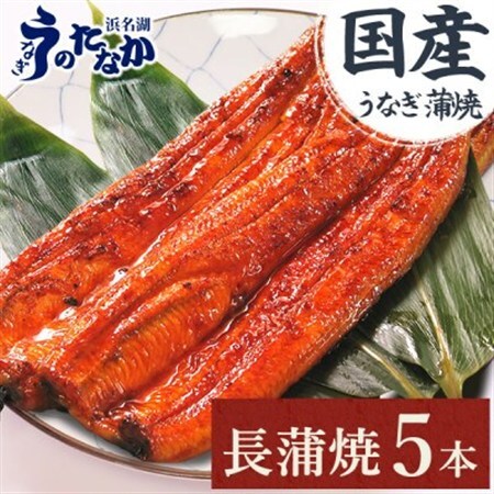 浜名湖・うなぎのたなかのふっくら柔らか♪国産うなぎ見た目も美しい長蒲焼5本※合計450g程度_鰻 国産 ギフト_【配送不可地域：離島】【1417591】