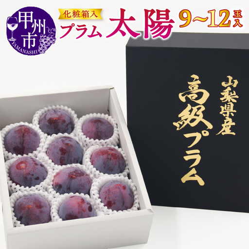 [宿沢フルーツ農園]プラム『太陽』(9〜12玉)[2026年発送](SF)B-194 すもも フルーツ