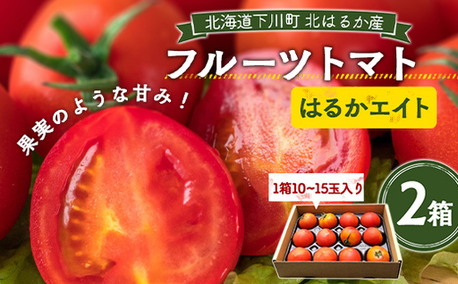 [先行予約]令和8年産 フルーツトマト はるかエイト 2箱 トマト