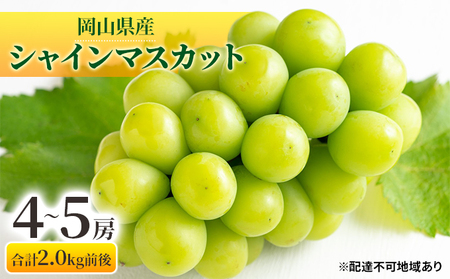 ぶどう 2026年 先行予約 シャインマスカット 晴王 4～5房 合計2.0kg 岡山県産 シャインマスカット