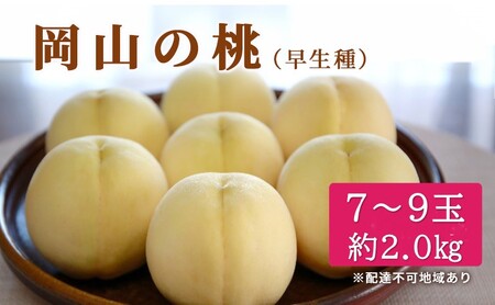 桃 2026年 先行予約 特選 岡山の白桃 7～9玉 約2kg 早生種 もも モモ 岡山県産 国産 フルーツ 果物 ギフト いろは堂 