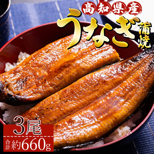 [うなぎ蒲焼き]高知県産養殖うなぎ蒲焼き 3尾(合計約660g) タレ付き 冷凍 真空パック 高知県 須崎市道の駅 ss-0035