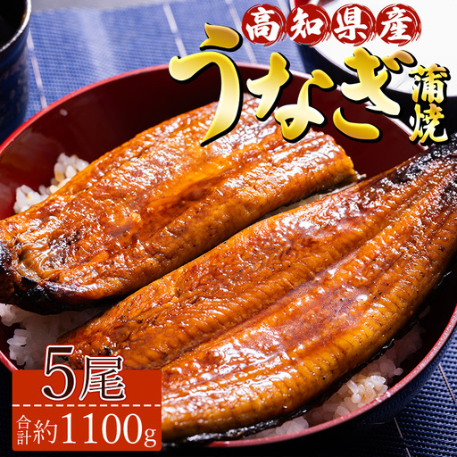 高知県産養殖うなぎ蒲焼 5尾(合計約1100g) - タレ付き たれ 丑の日 鰻 ウナギ かばやき うな丼 うな重 送料無料 須崎市道の駅 ギフト 贈答 贈り物 高知県 香南市 冷凍 ss-0036