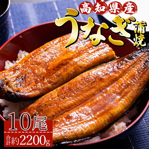 【 蒲焼き 】 うなぎ 10尾 計2200ｇ 鰻 ＜ 高知県 香南市 ＞ 蒲焼き ss-0037