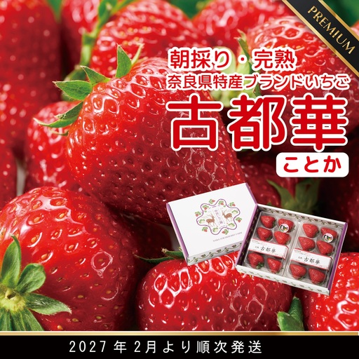 先行予約 数量限定 朝採り 古都華 完熟 2月より順次発送奈良県特産 朝採り高級ブランドいちご「古都華」